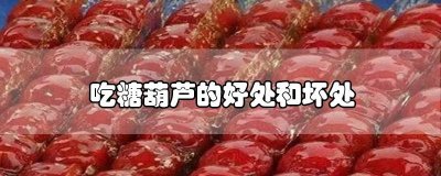 ​冰糖葫芦坏处 吃糖葫芦有什么好处?