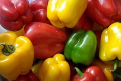 ​灯笼椒辣没有辣:没有辣还戴甜味，两荆条正统川菜必备辣椒