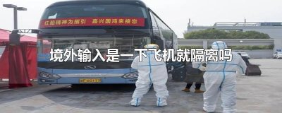 ​境外输入是一下飞机就隔离吗