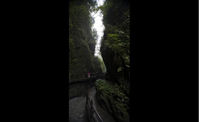 四川峨眉山介绍（四川峨眉山）(11)