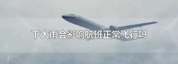 暴雨影响飞机飞行,下雨会不会影响航班起飞图9
