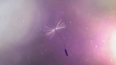 ​感悟人生哲理的句子，深刻的人生哲理名句