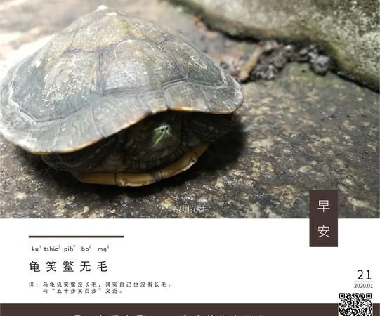 龟毛是什么意思 求回答