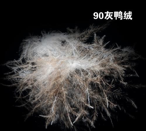 灰鸭绒是啥