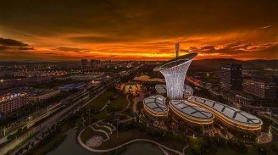​正宗交际花水豚的身边为什么总是有那么多小动物