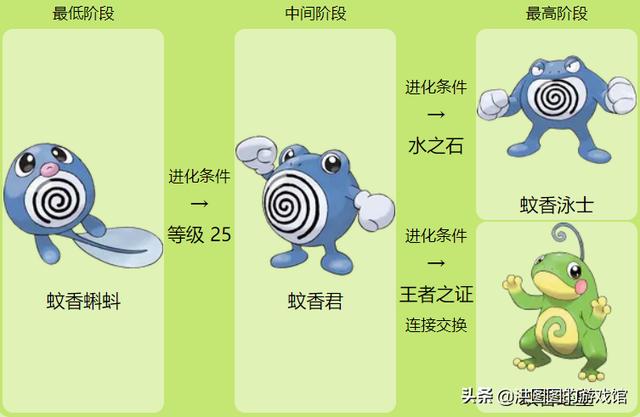 宝可梦百科知识（宝可梦道场第一话）(5)