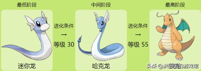 宝可梦百科知识（宝可梦道场第一话）(6)