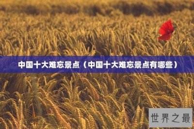 ​中国十大难忘景点（中国十大难忘景点有哪些）
