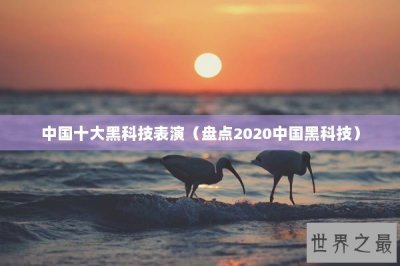 ​中国十大黑科技表演（盘点2020中国黑科技）
