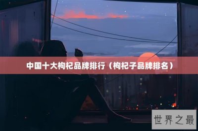 ​中国十大枸杞品牌排行（枸杞子品牌排名）