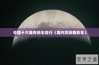 ​中国十大商务轿车排行（国内顶级商务车）