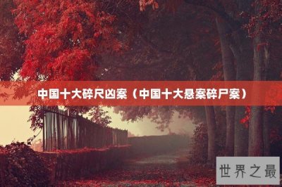 ​中国十大碎尺凶案（中国十大悬案碎尸案）