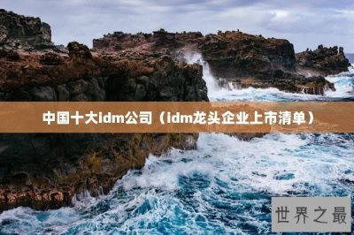 ​中国十大idm公司（idm龙头企业上市清单）