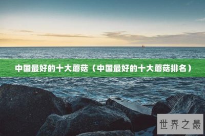 ​中国最好的十大蘑菇（中国最好的十大蘑菇排名）
