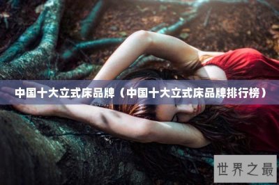 ​中国十大立式床品牌（中国十大立式床品牌排行榜）