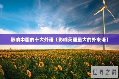 ​影响中国的十大外语（影响英语最大的外来语）