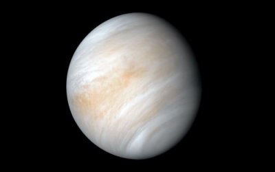 ​金星大气中发现磷化氢 让全世界都把目光投向这颗地球的邻近行星