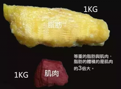 ​体脂秤原理(体脂秤原理是什么)