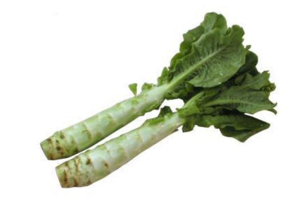 莴苣是感光食物吗 莴苣是莴笋吗 莴苣是感光食物吗 莴苣是莴笋吗