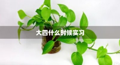 ​大四什么时候实习