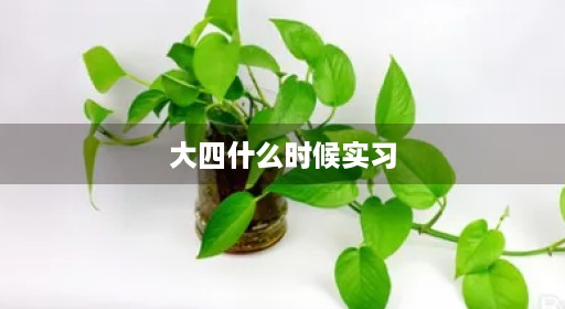 大四什么时候实习