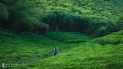 ​五台山佛光普照哪种机票最省钱？