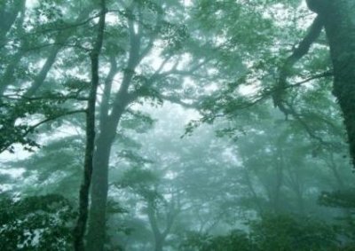 ​中堂附近旅游景点公园有哪些