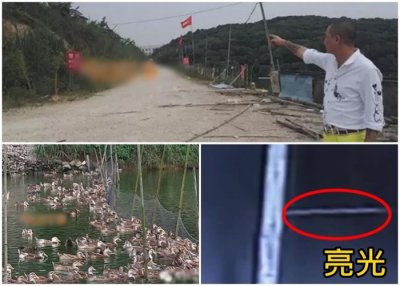​UFO外星人降临？广东省东莞市寮步镇农庄凌晨现怪光 千只动物受惊惨叫