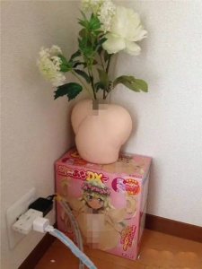 ​废弃的「飞机杯」怎么处理？其实可以这么用