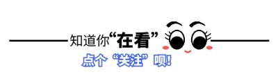 ​于文红：感情不顺嫁24岁欧洲男模，为了利益将亲弟送进看守所