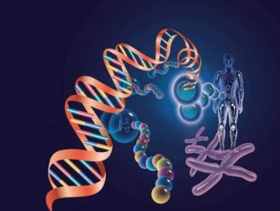 ​比航母还大的史前巨兽不存在，航母长300米巨兽最多80米