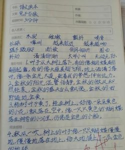 ​怎样写读书笔记,如何写读书笔记