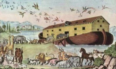 ​外星生物来了？太空中惊现不明飞行物舰队，国际空间站直播被迫中断
