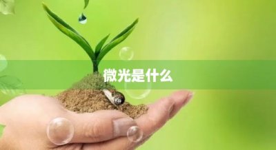 ​微光是什么(微光是什么花)