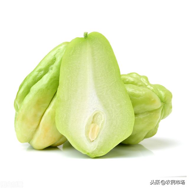 佛手瓜种植的方法和技术（佛手瓜栽培技术）(19)