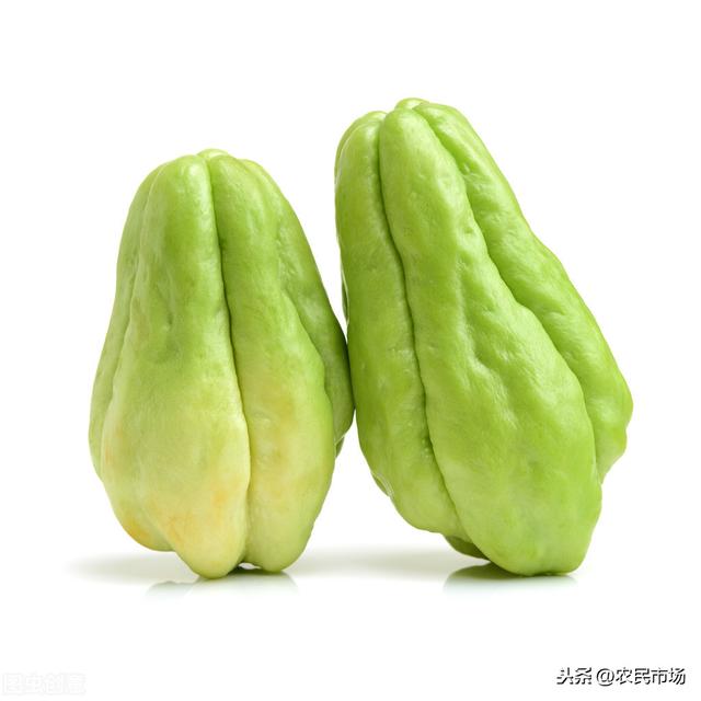佛手瓜种植的方法和技术（佛手瓜栽培技术）(17)