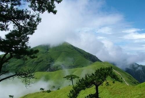 武功山好玩吗，江西萍乡武功山好玩吗？图3