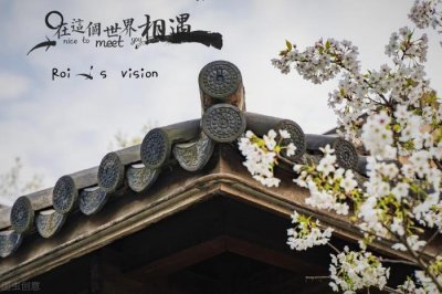 ​挽回老婆的话真实点，为了挽回老婆的心
