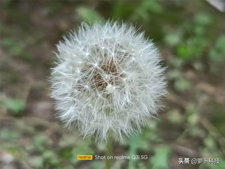 真我q3i配置（真我Q3i外观体验评测分享）