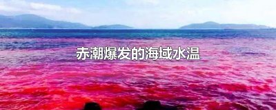 ​赤潮爆发的海域水温