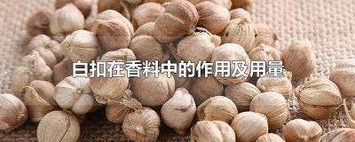​白扣在香料中的作用及用量
