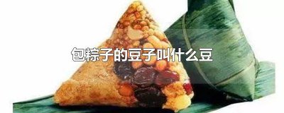 ​包粽子用的豆子叫什么 包粽子用的豆子是什么豆