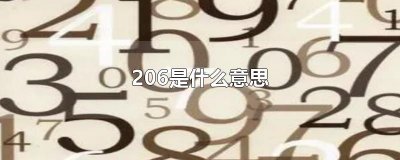 ​206是什么意思