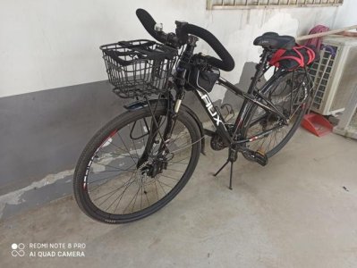 雷克斯自行车