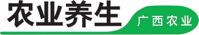 ​立冬吃哪些食物最好（立冬来了吃什么）