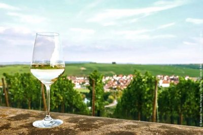 ​德国雷司令葡萄酒的特点（雷司令葡萄酒档次高吗）