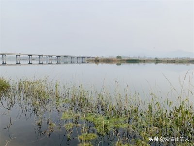 ​山东大汶河，我们的母亲河，她承载了多少人童年美好难忘的记忆