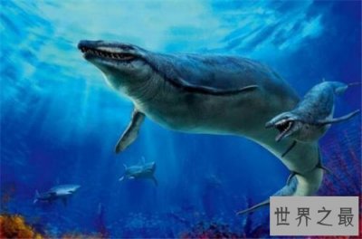 ​伊西斯龙王鲸非常凶残，生活在三千万年前的地球上