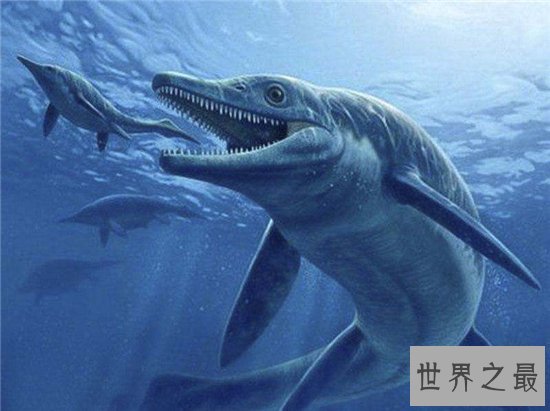 伊西斯龙王鲸非常凶残,生活在三千万年前的地球上