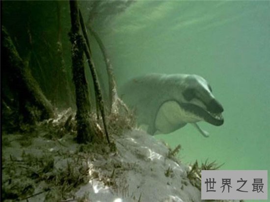 伊西斯龙王鲸非常凶残,生活在三千万年前的地球上